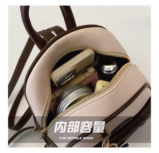 ZCJ2564 AS PICT-big-2